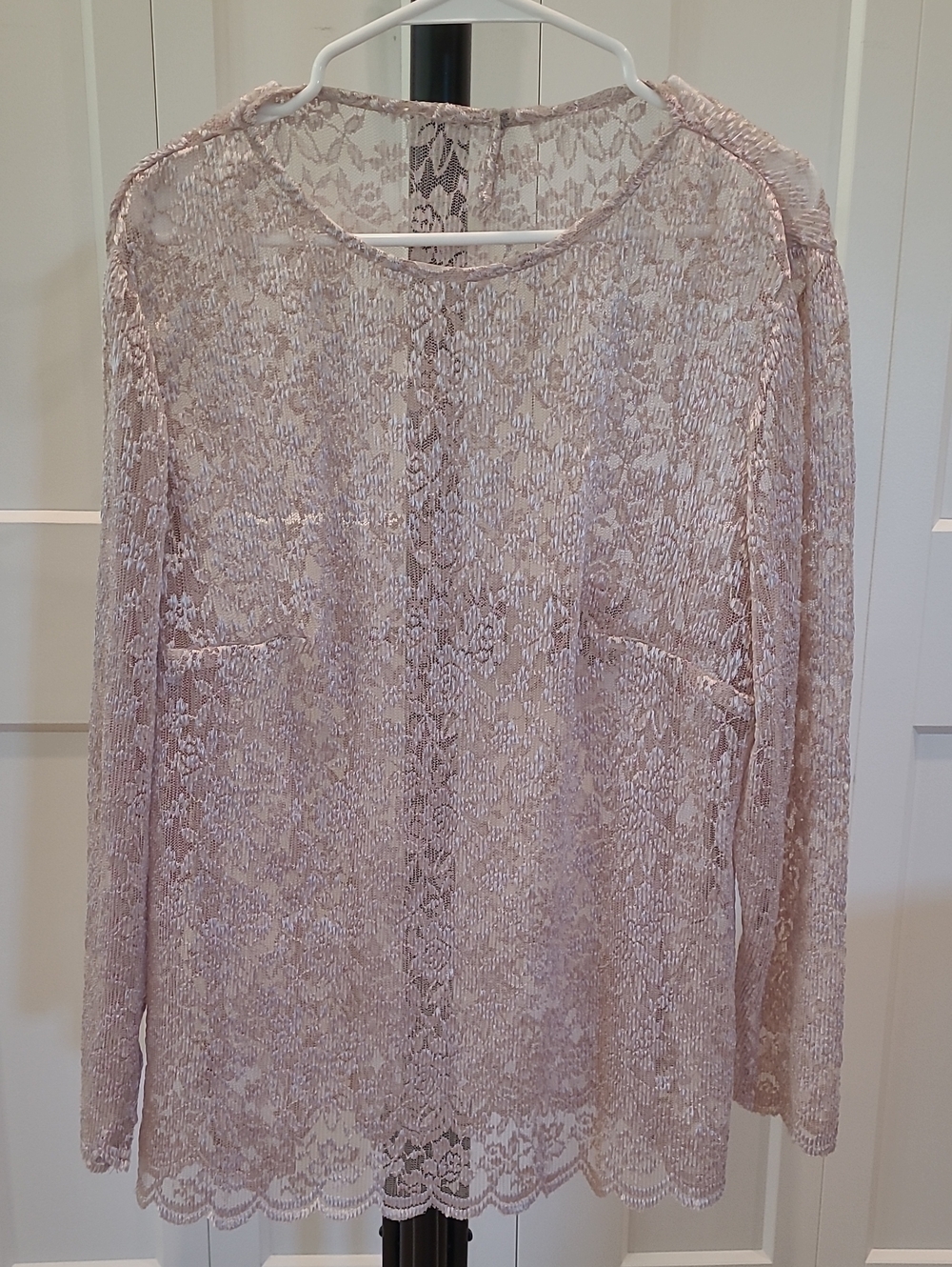 Sheer Lace Long-Sleeve Blouse - Champagne